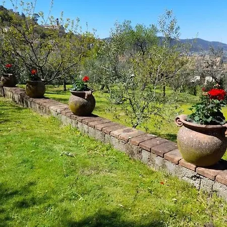 Con Giardino E Parcheggio Riservato *