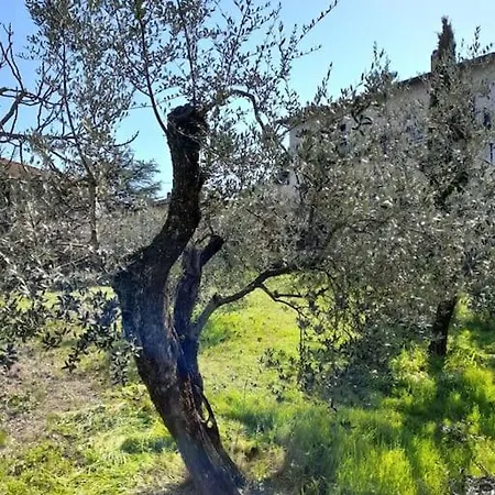 Apartmán Con Giardino E Parcheggio Riservato