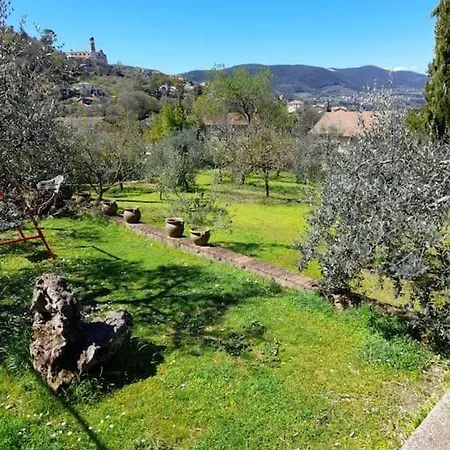 Con Giardino E Parcheggio Riservato *