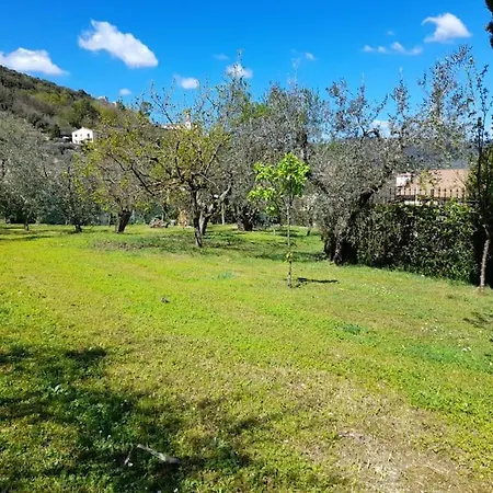 Apartmán Con Giardino E Parcheggio Riservato