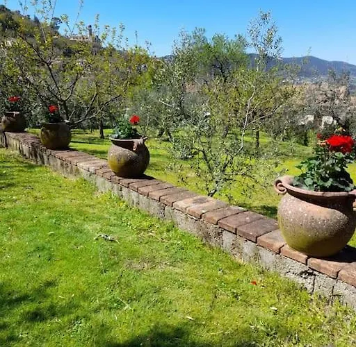 Con Giardino E Parcheggio Riservato *